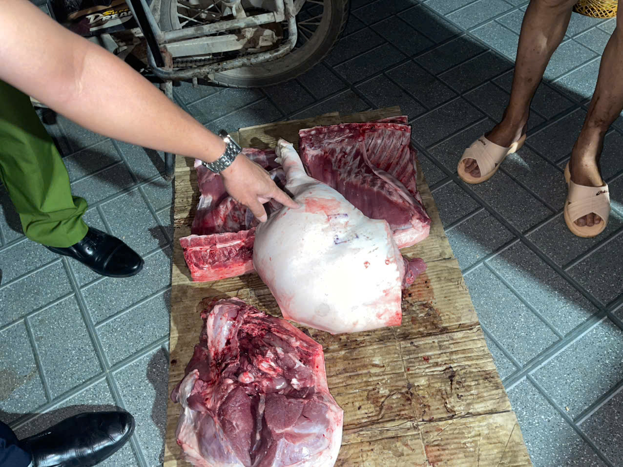 UBND XÃ ĐÔNG KINH TĂNG CƯỜNG CÔNG TÁC KIỂM TRA TUYÊN TRUYỀN PHÒNG CHỐNG DỊCH TẢ LỢN CHÂU PHI